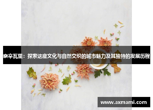 奈辛瓦里：探索这座文化与自然交织的城市魅力及其独特的发展历程